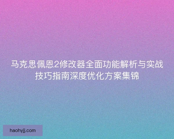 马克思佩恩2修改器全面功能解析与实战技巧指南深度优化方案集锦